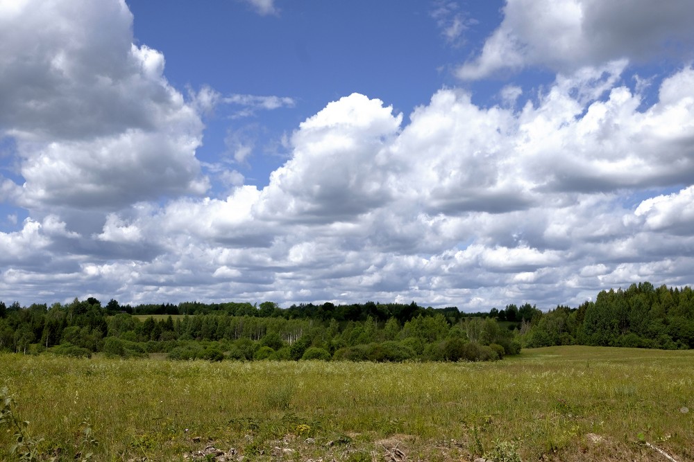 Countryside Landscape, Cloudy Sky