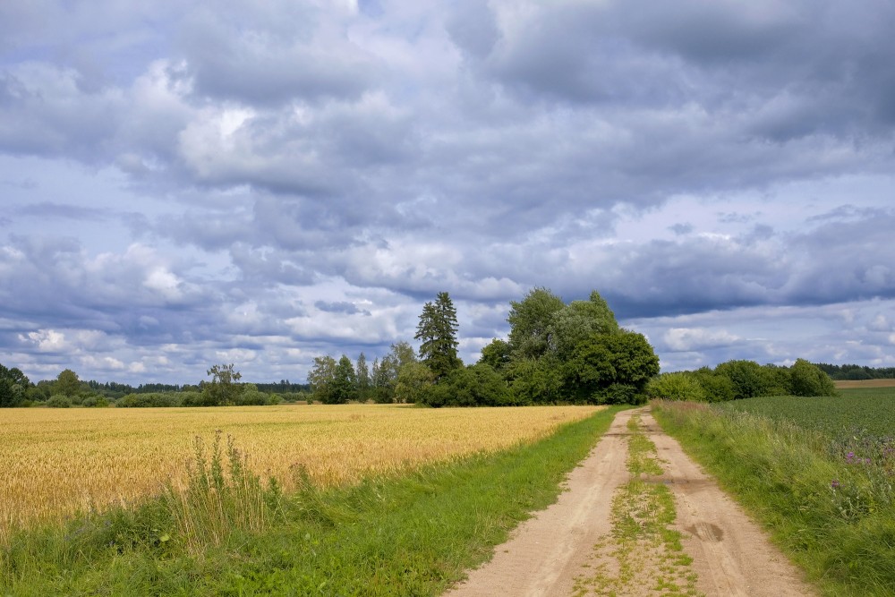 Lauku ainava ar ceļu, mākoņaina diena