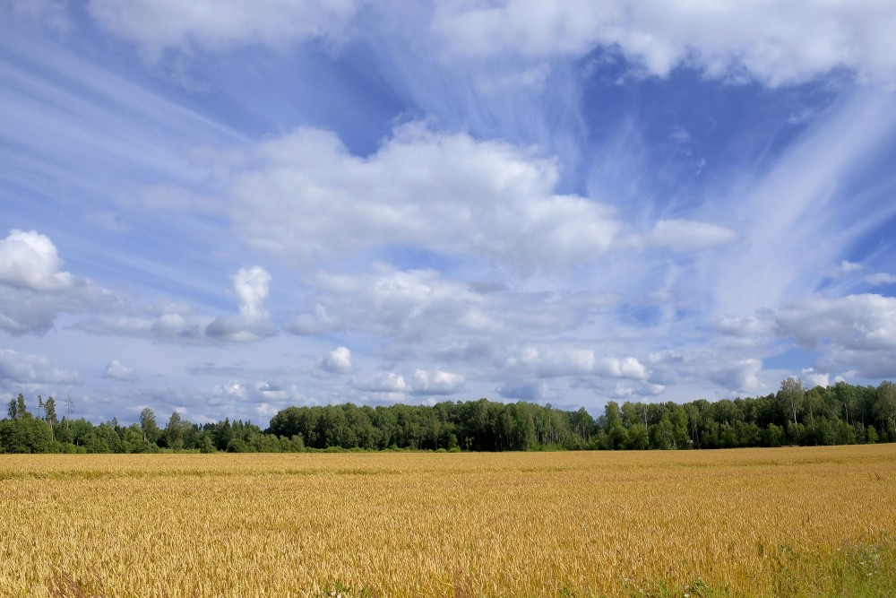Beautiful Cloudy Sky