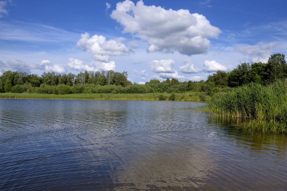 Landscape with Cumulus Clouds