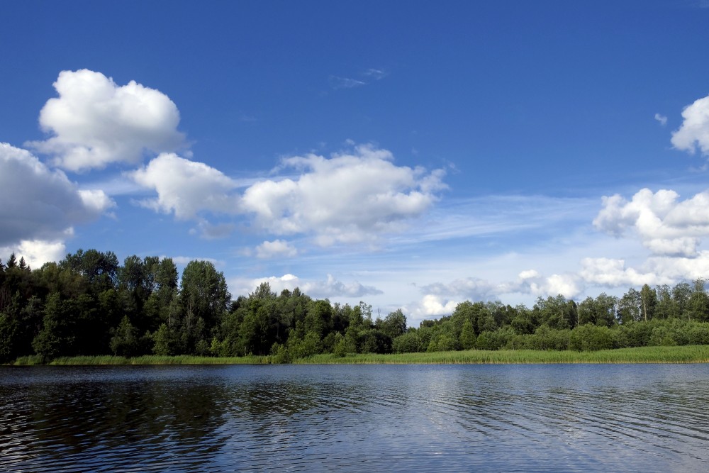 Cumulus Cloud