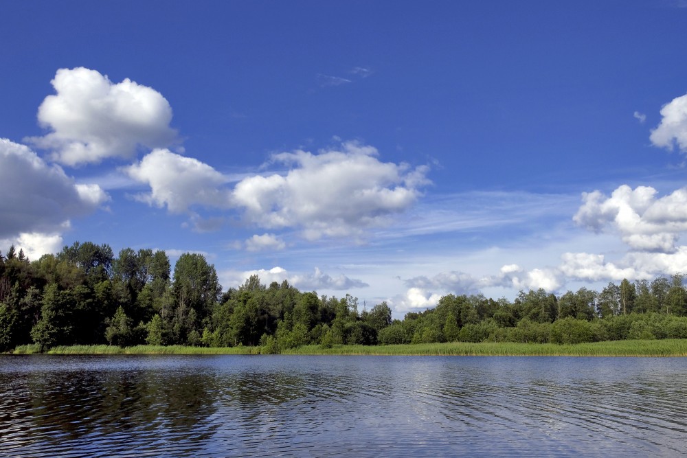 Ainava, gubumākoņi Ainava, gubumākoņi