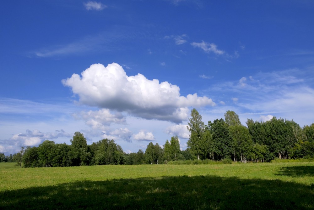 Landscape with Cumulus Clouds