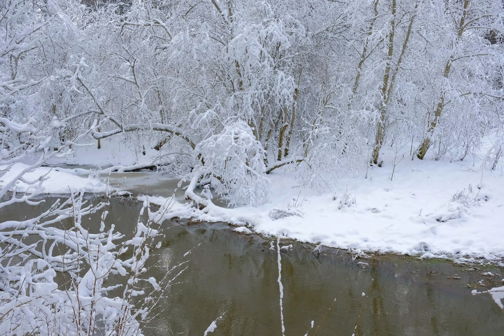 Cīravas mežaparks ziemā