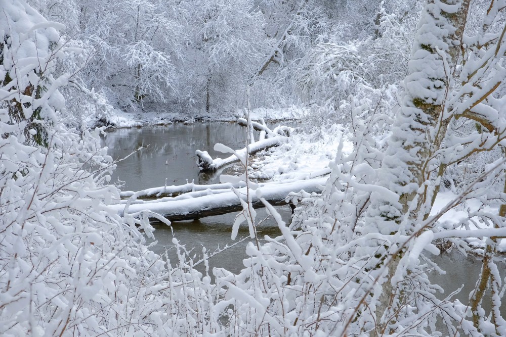 Cīravas mežaparks ziemā