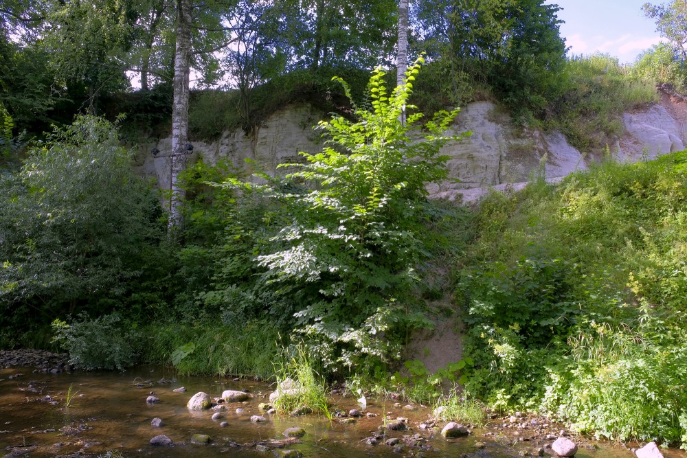 Rauna Sandstone Outcrop