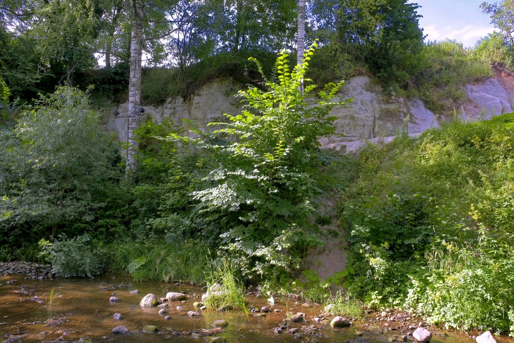 Baltie smilšakmens atsegumi Raunā Baltie smilšakmens atsegumi Raunā
