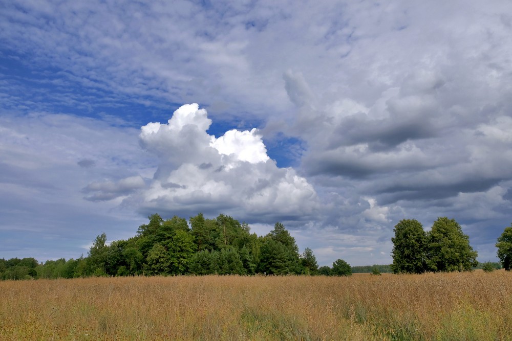 Lauku ainava, mākoņainas debesis