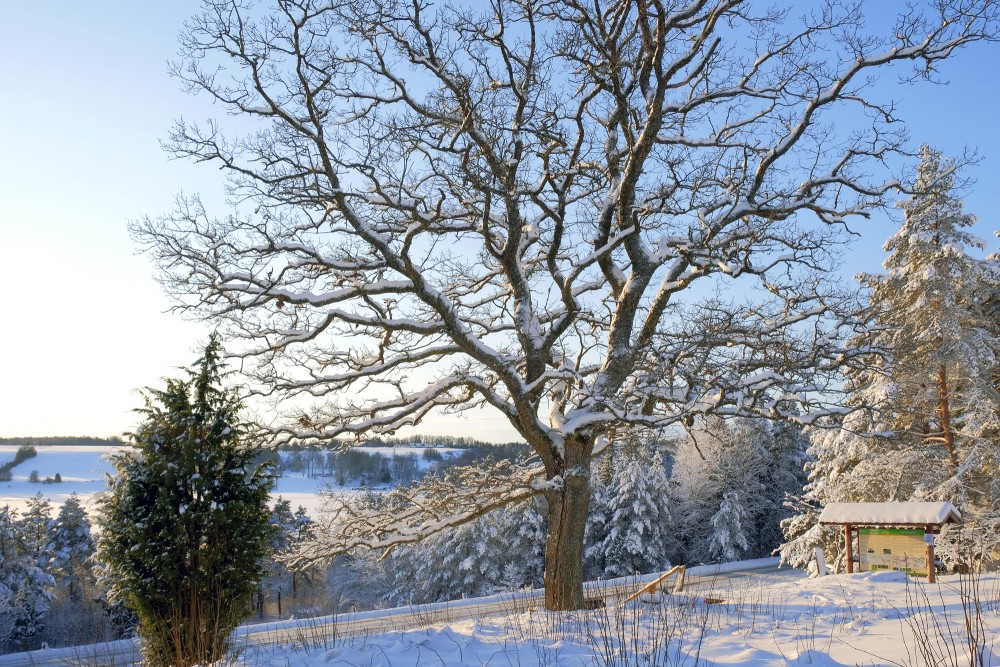 A Viewing Area on Greili Hill in Winter