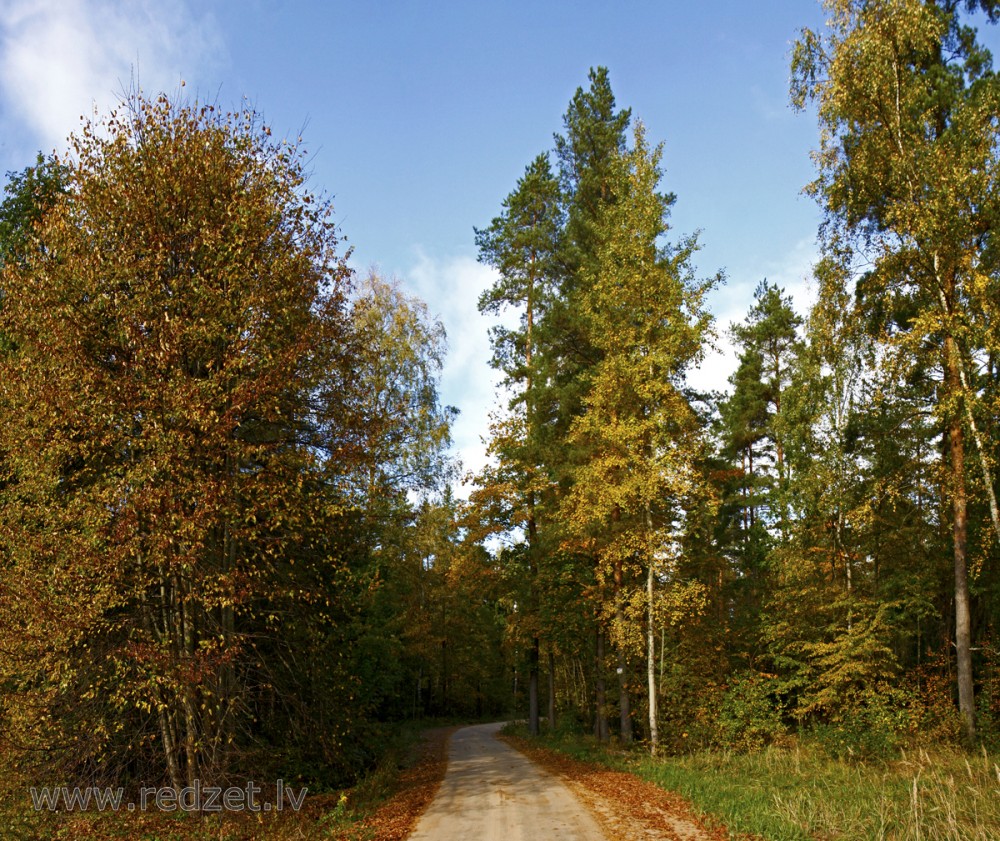Rudens ainava