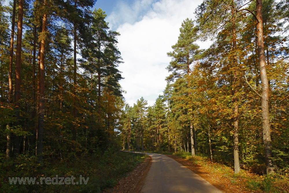 Rudens ainava