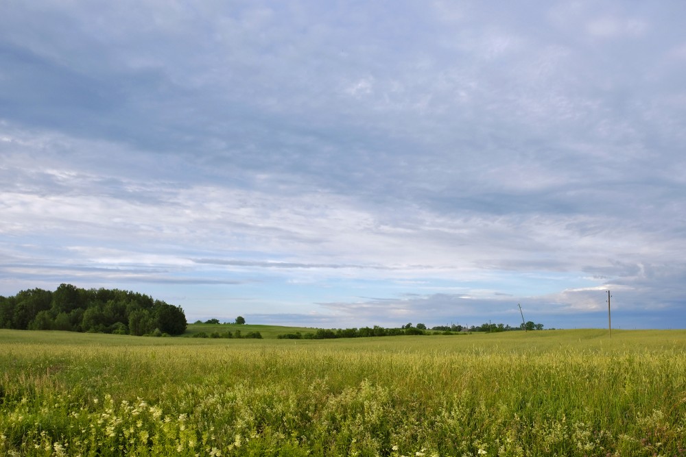 Lauku ainava