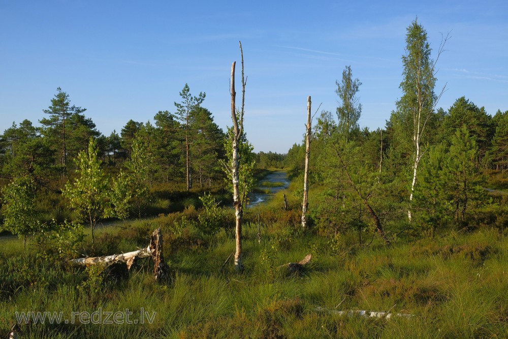 Stiklu Bog Nature Trail