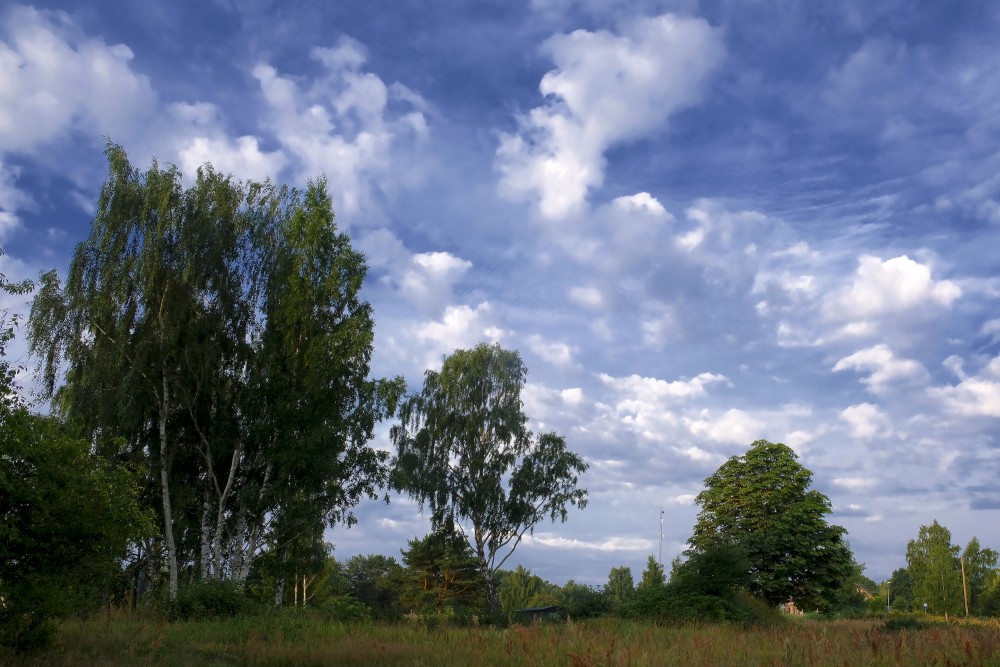 Ainava ar mākoņainām debesīm