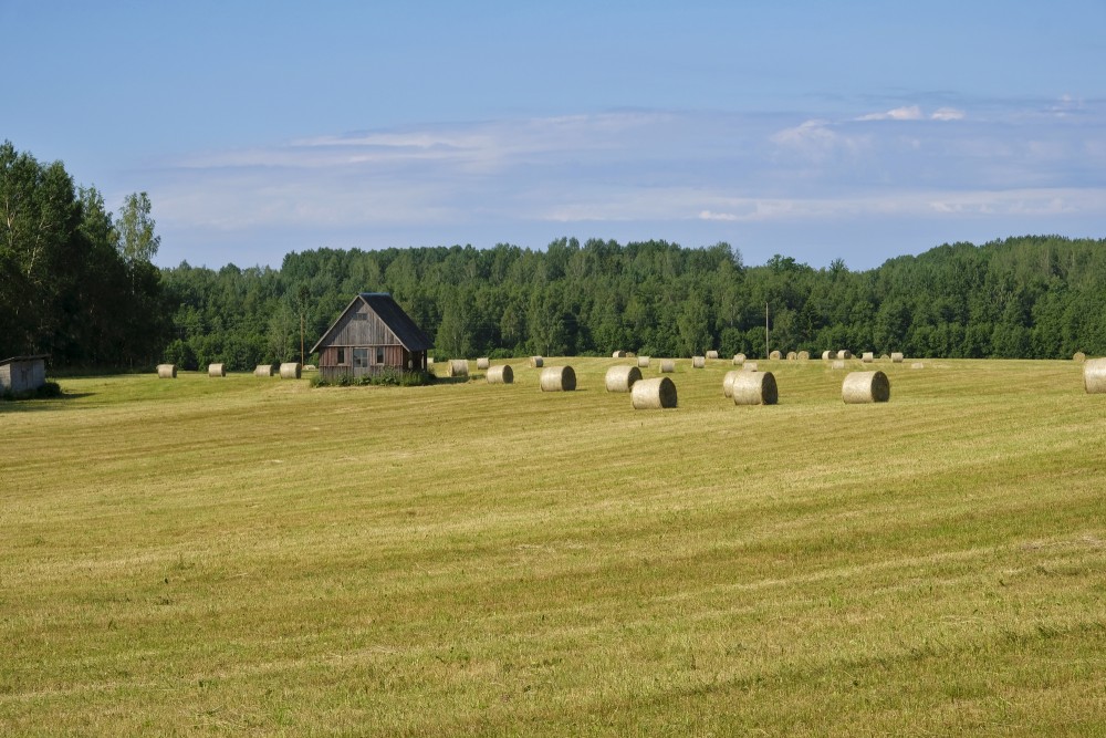 Lauku ainava un siena ruļļi