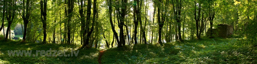 Lindes parka panorāma