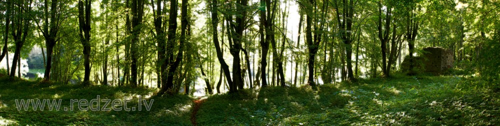Lindes parka panorāma