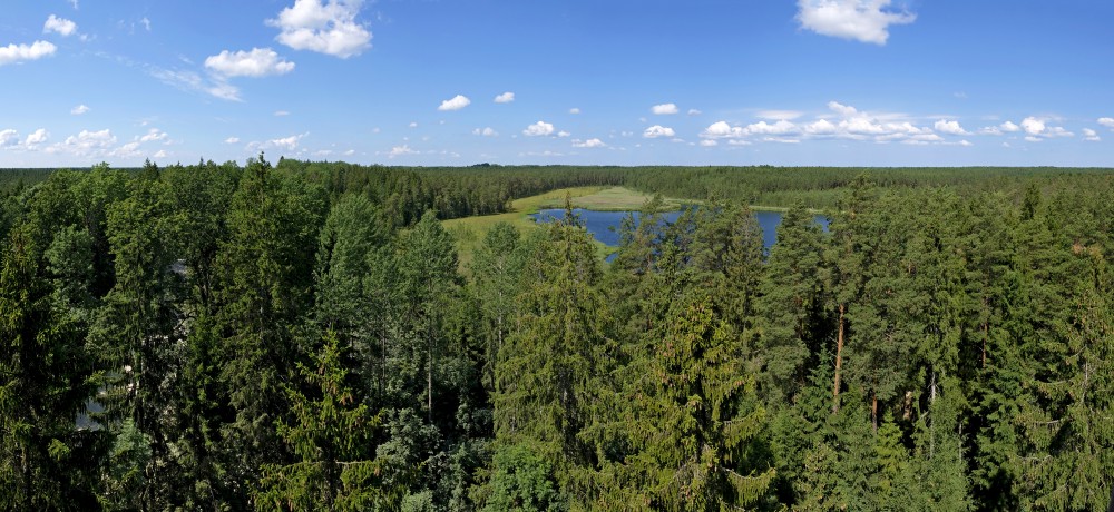 Panorāmas skats no Kangaru skatu torņa