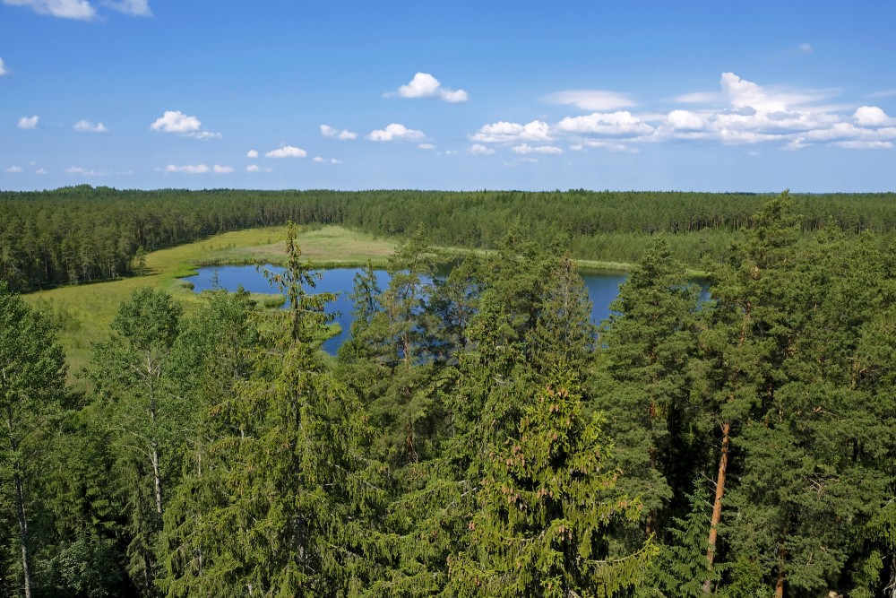 Skats no Kangaru skatu torņa