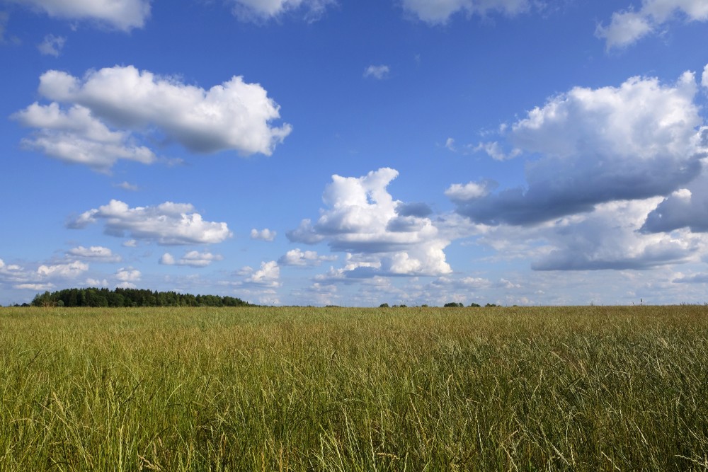 Countryside Landscape with Cumulus Clouds