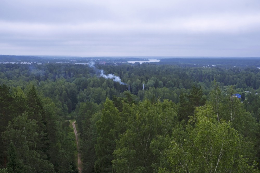 Skats no Ogres skatu torņa