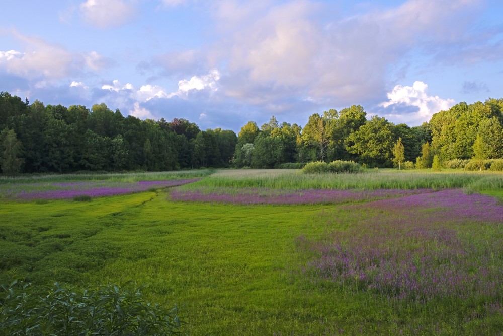 Vakara ainava, krāšņas debesis