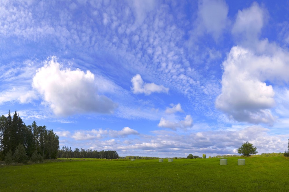 Lauku ainava ar mākoņainām debesīm Lauku ainava ar mākoņainām debesīm