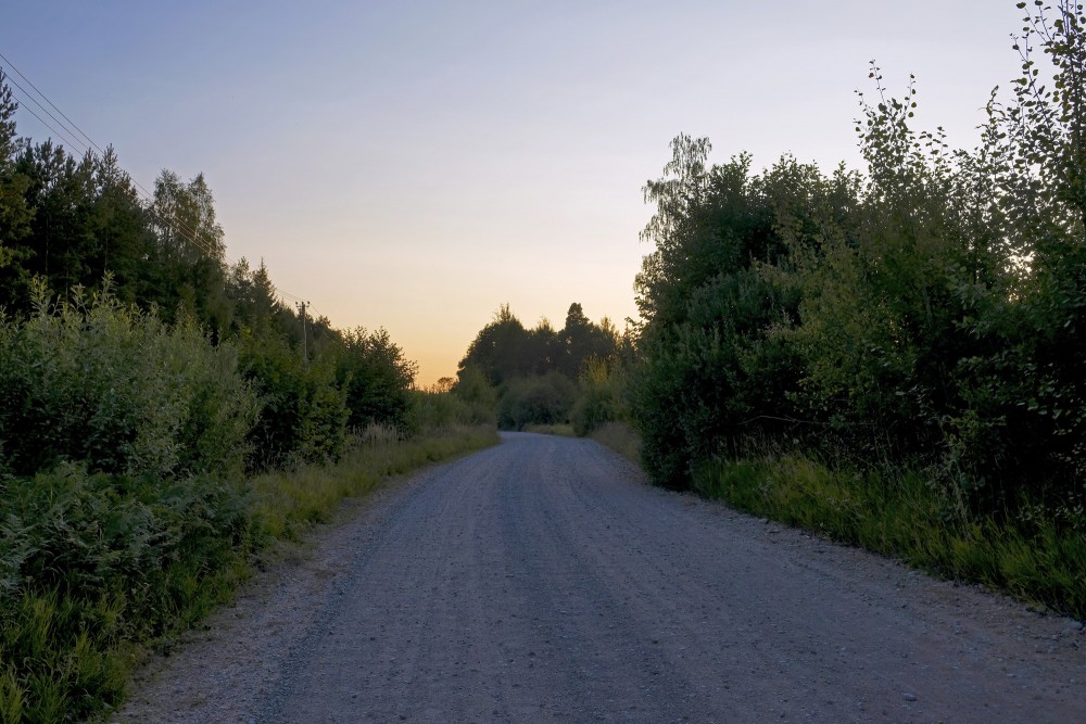 Grantēts ceļš vakara gaismā