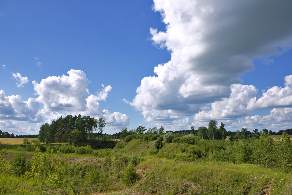 Landscape with Cumulus Clouds