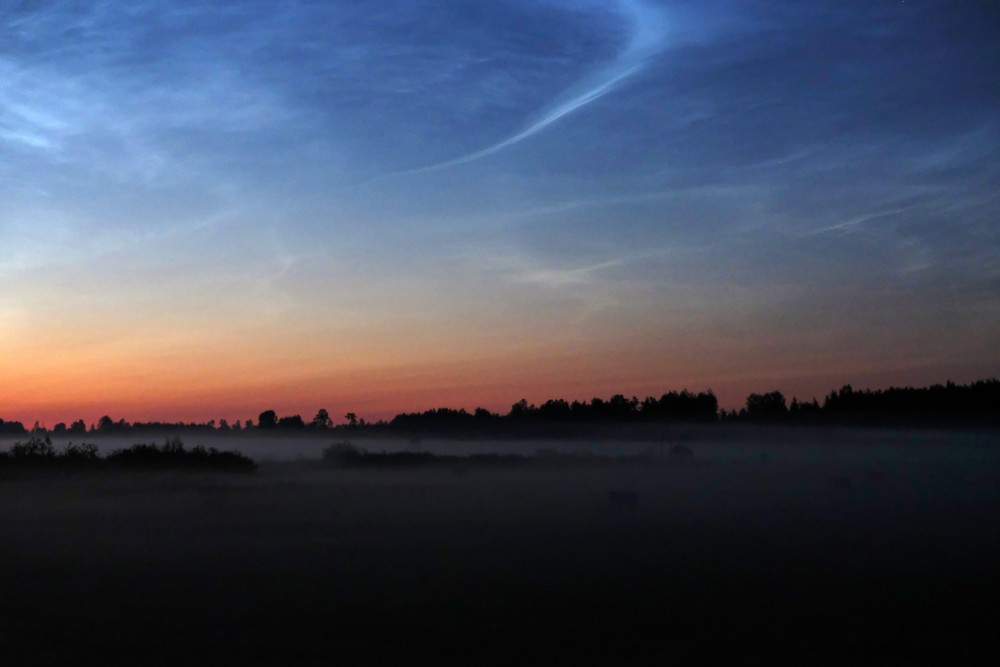 Night Landscape, Fog