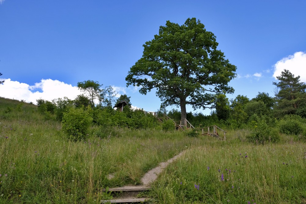 A Viewing area on Greili Hill