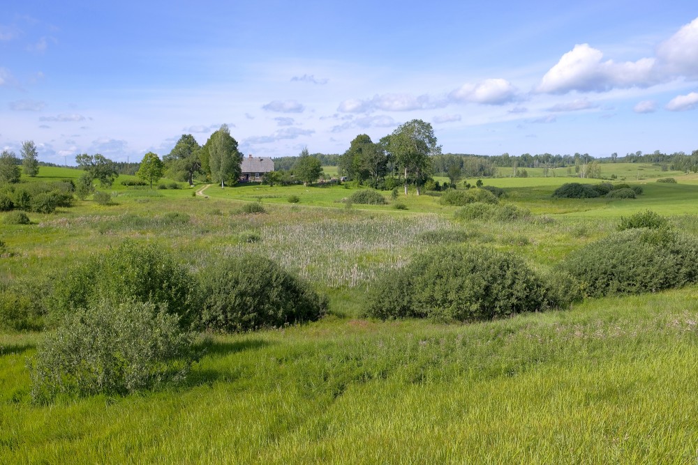 Lauku ainava, tālumā māja