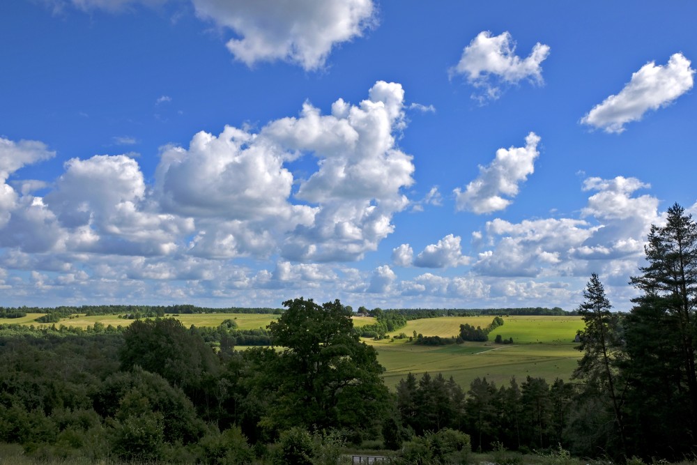 View from Greiļi Hill to the Ancient Valley of Abava
