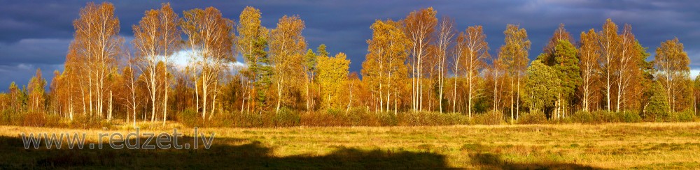 Rudens panorāma