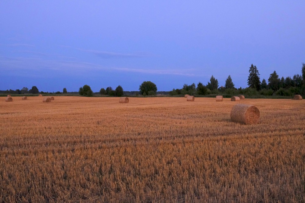 Crop Field after Sunset, Straw Roll