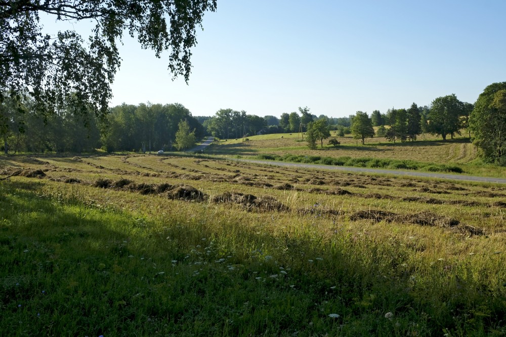 Lauku ainava ar nopļautām pļavām