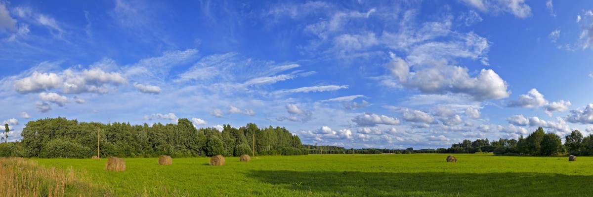 Rural Panorama with Hay Rolls