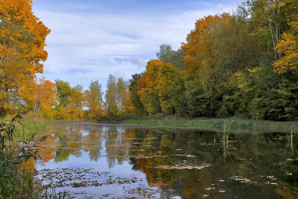Rudens ainava pie ezera ar krāsainiem kokiem un to atspulgu ūdenī
