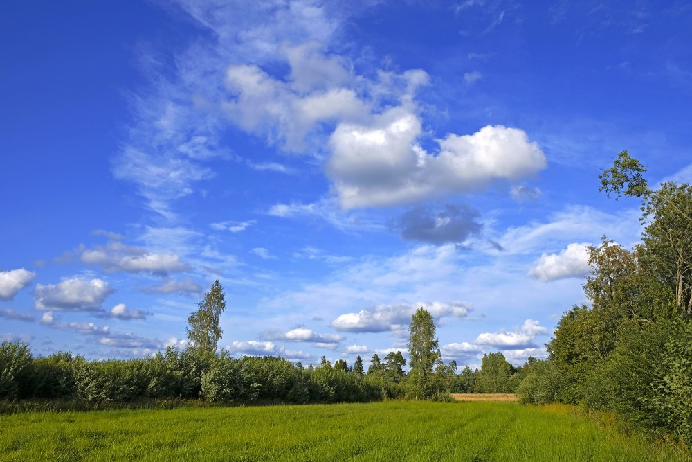 Nopļauta pļava, debesis ar baltiem mākoņiem
