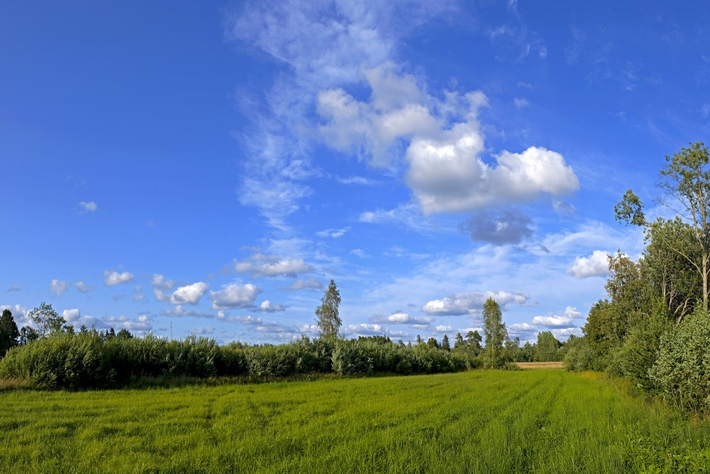 Lauku ainava ar baltiem mākoņiem (liels izmērs)