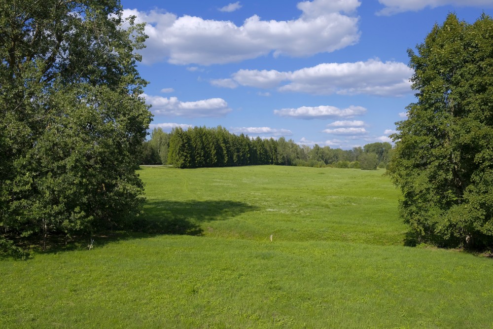 Rural landscape, mown meadow, cloudy sky