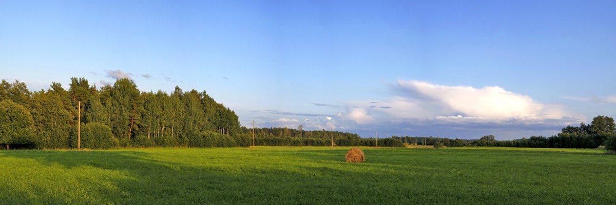 Latvijas lauku vakara panorāma