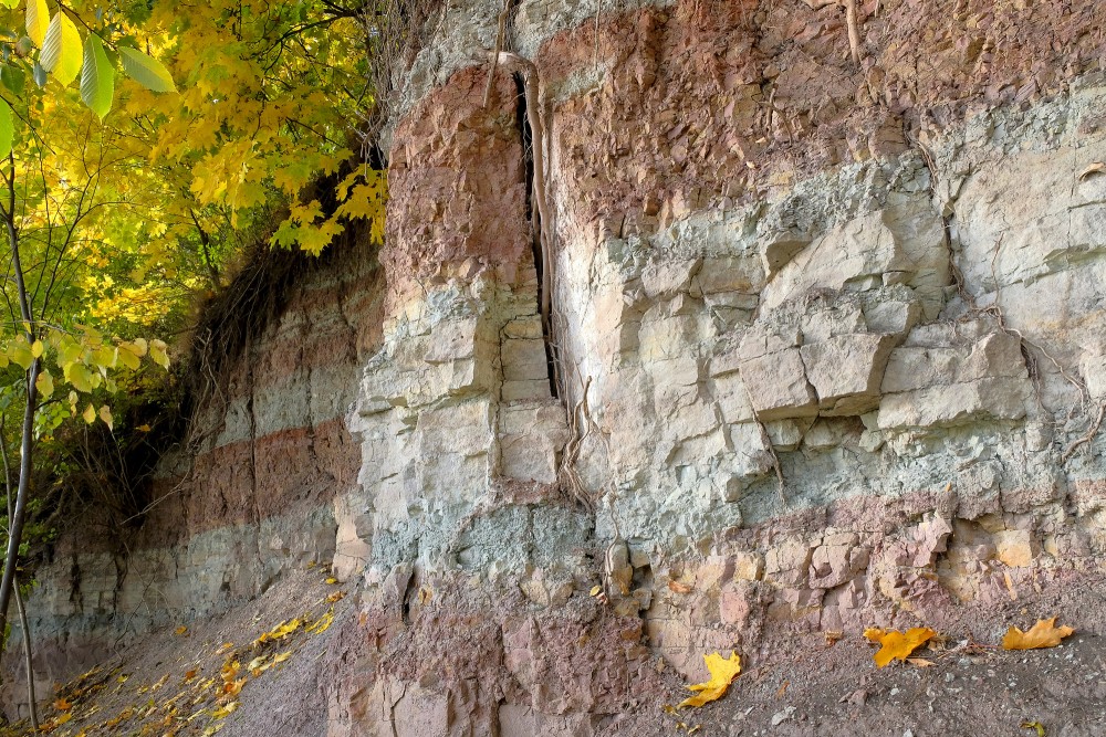 Dramatic Dolomite Cliff Face with Autumn Leaves and Roots