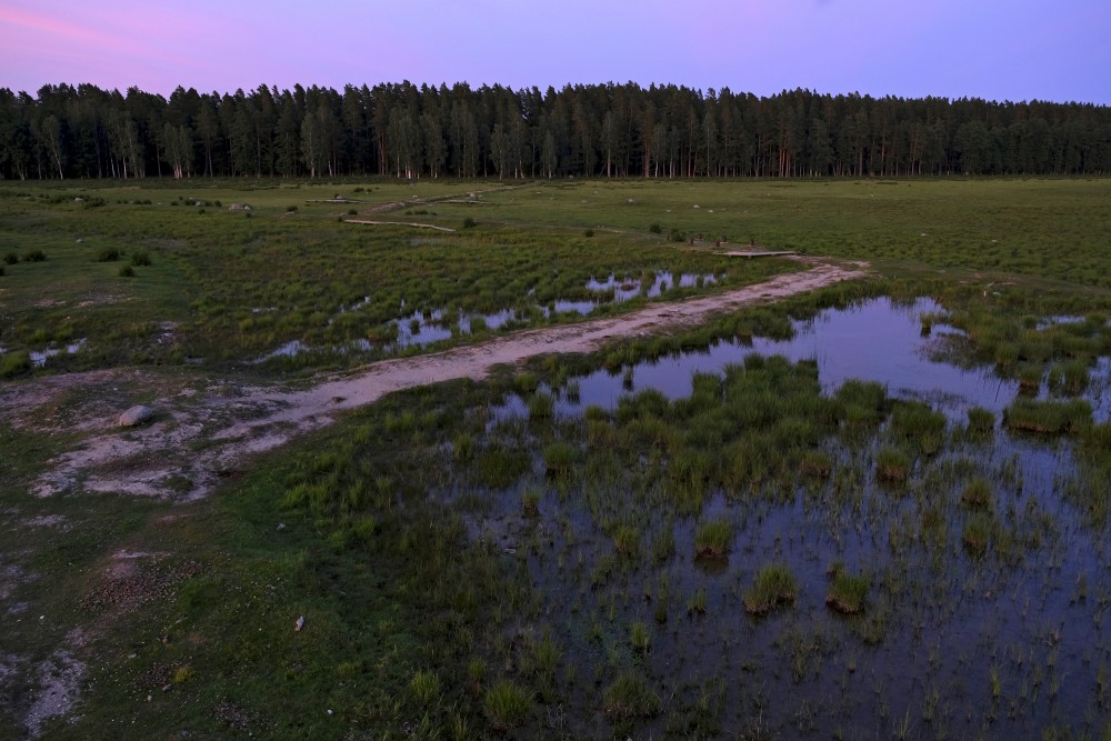 Landscape Of The Nature Park "Engure Lake"