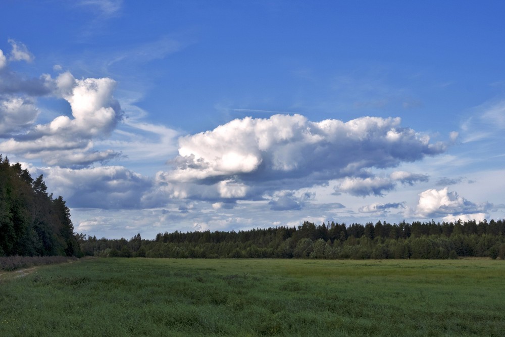 Ainava ar mākoņiem, meža ieloks Ainava ar mākoņiem, meža ieloks