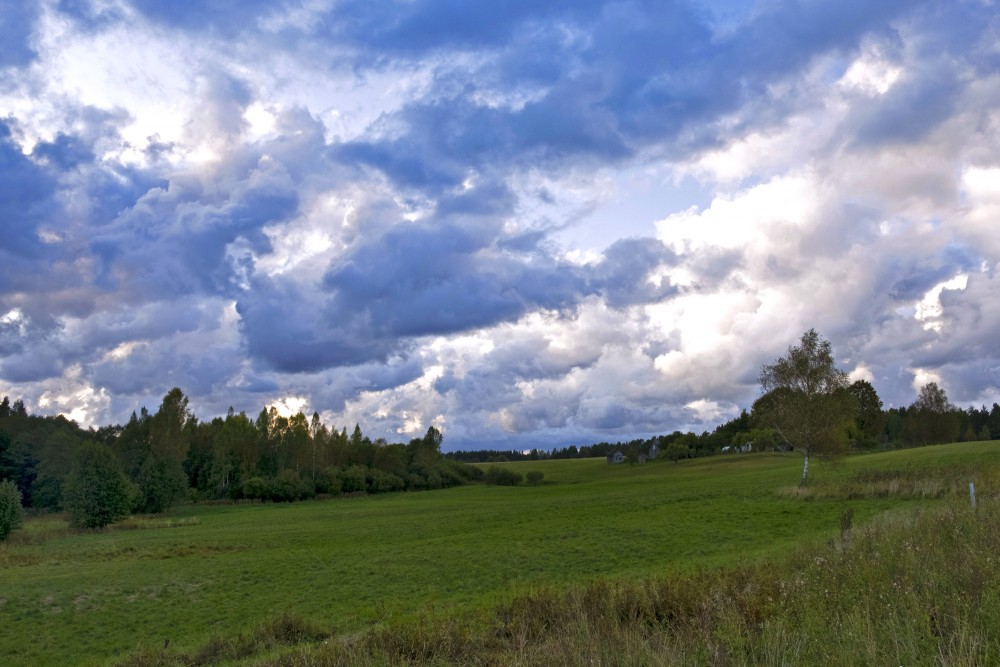 Rural Landscape With Cloudy Sky