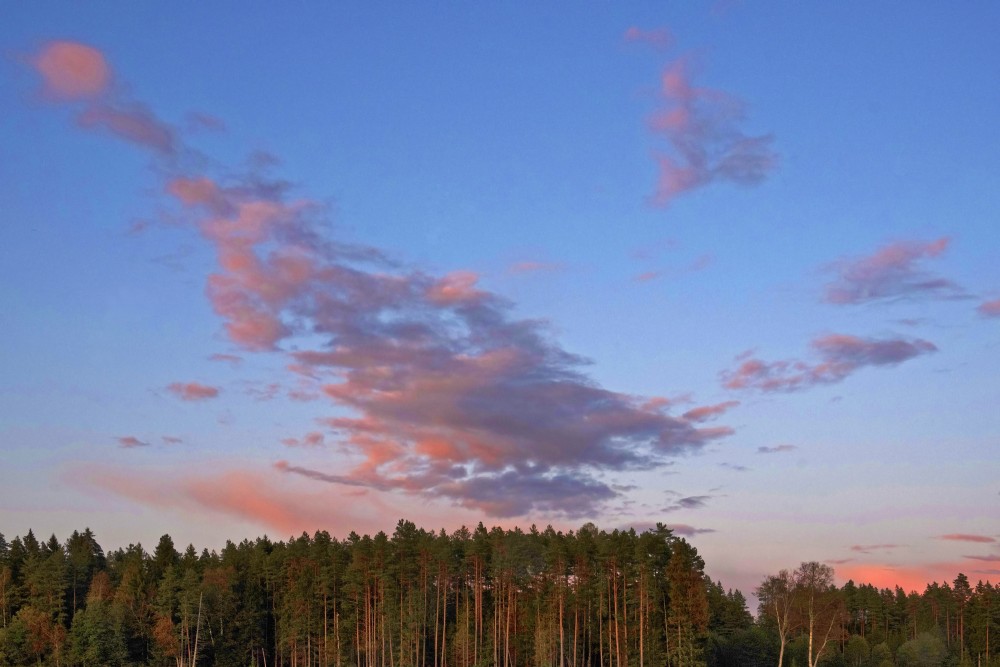 Evening Landscape With Clouds