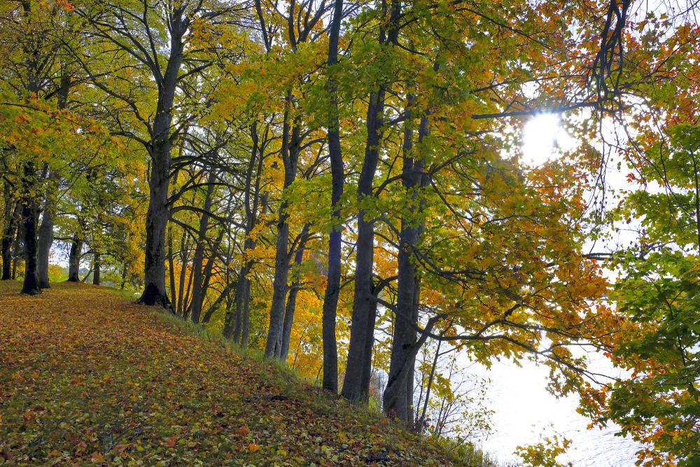 Parks pie Landzes baznīcas