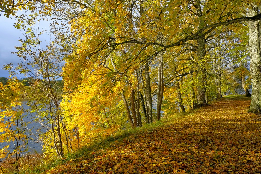 Parks pie Landzes baznīcas