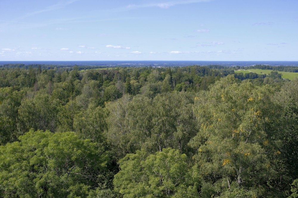 The view from Kamparkalns Observation Tower